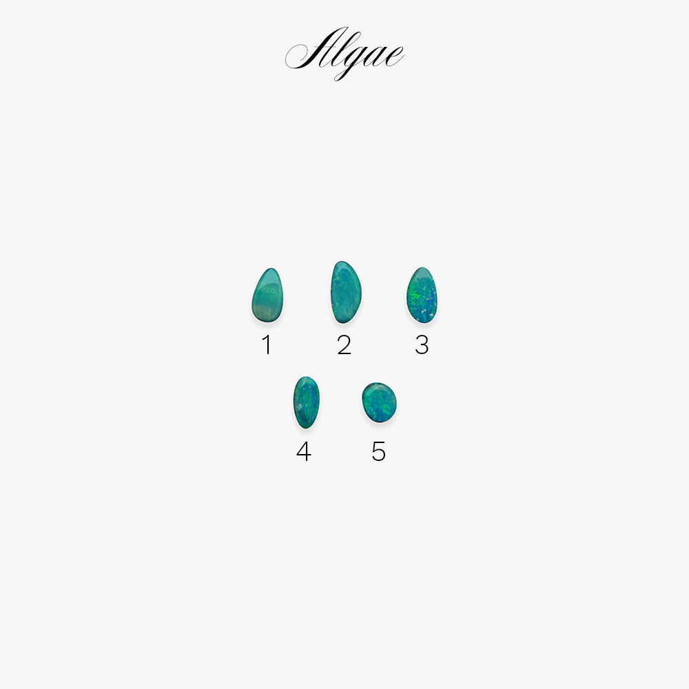 Set of five green gemstones with numbers on a white background, featuring the series 'Algae'.