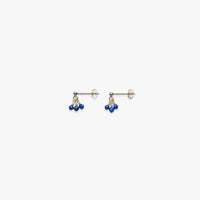 Pair of earrings with blue beads on a white background
