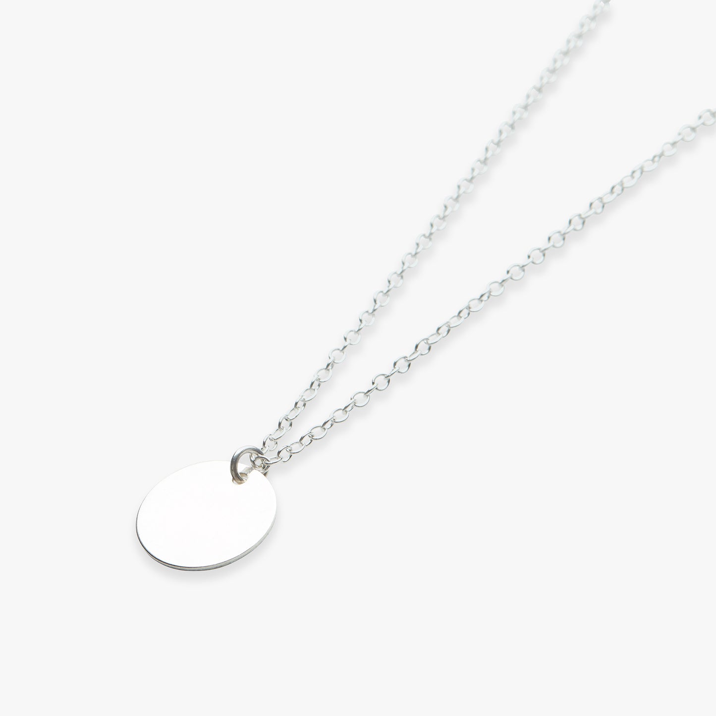 Big coin ketting zilver
