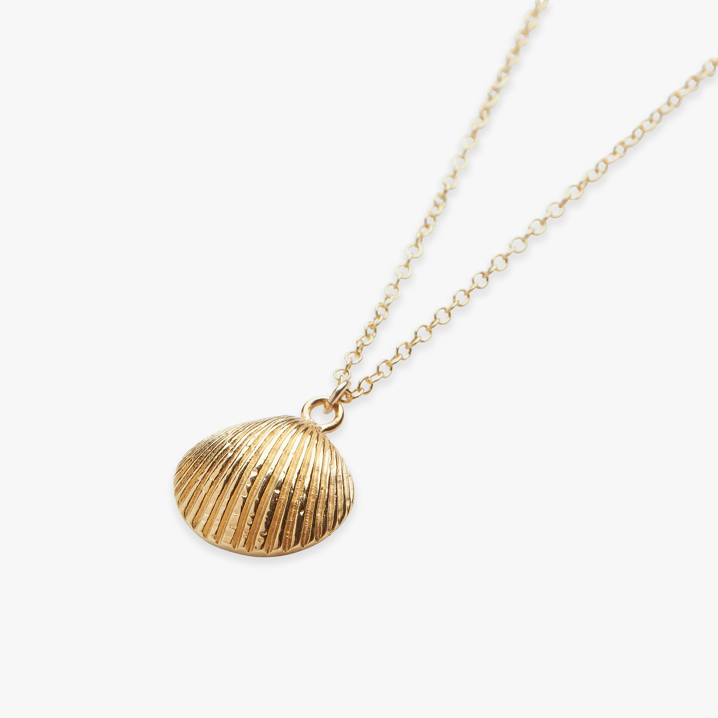 Cockle shell necklace gold filled
