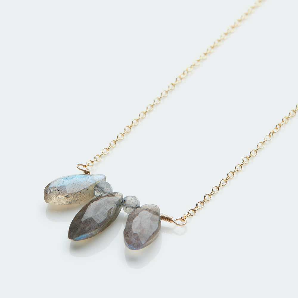 
                  
                    gouden ketting labradoriet
                  
                