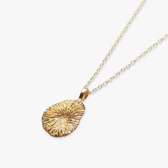 Load image into Gallery viewer, Natural Coral pendant necklace gold filled
